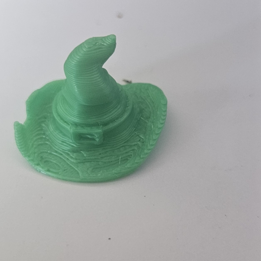 Halloween Witches Hat #13